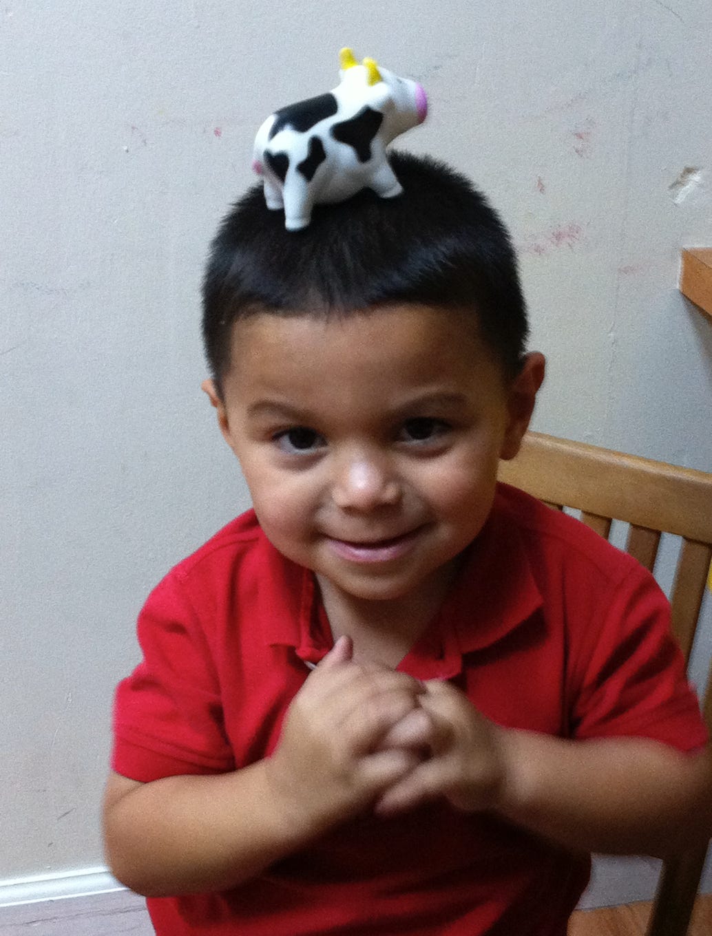 Little boy with toy cow on his head